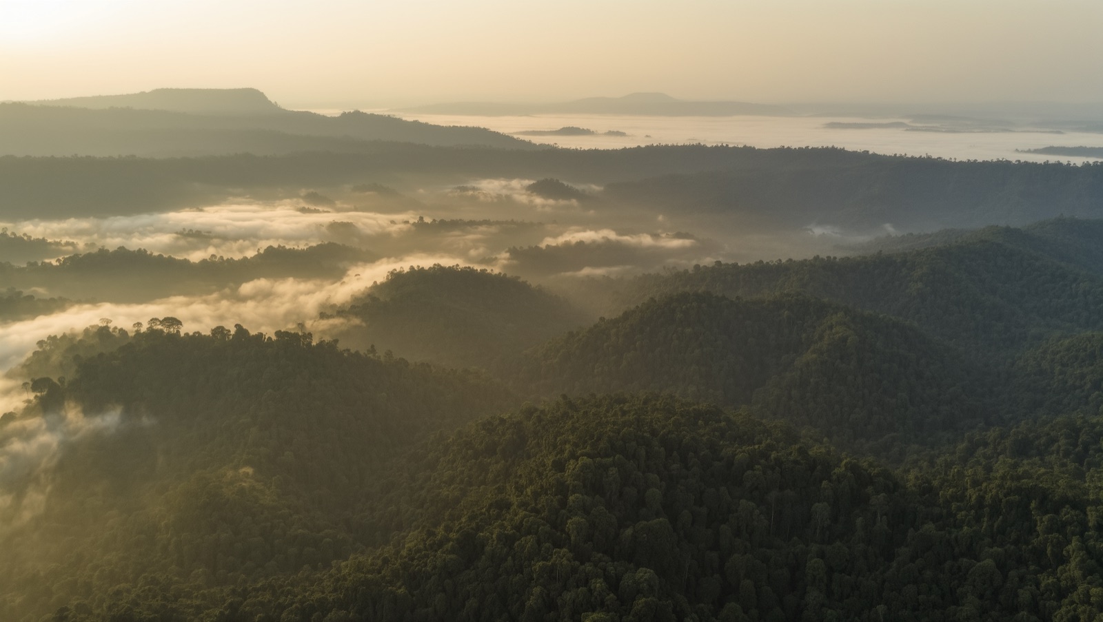 Cloudline Meghalaya retreat